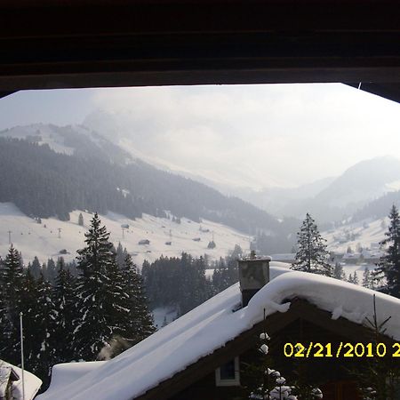 Apartment Nadeschda Adelboden Zewnętrze zdjęcie