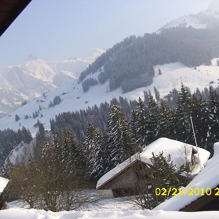 Apartment Nadeschda Adelboden Zewnętrze zdjęcie