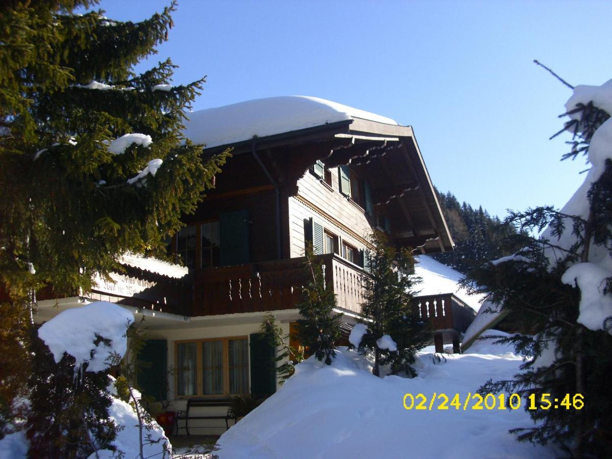 Apartment Nadeschda Adelboden Zewnętrze zdjęcie