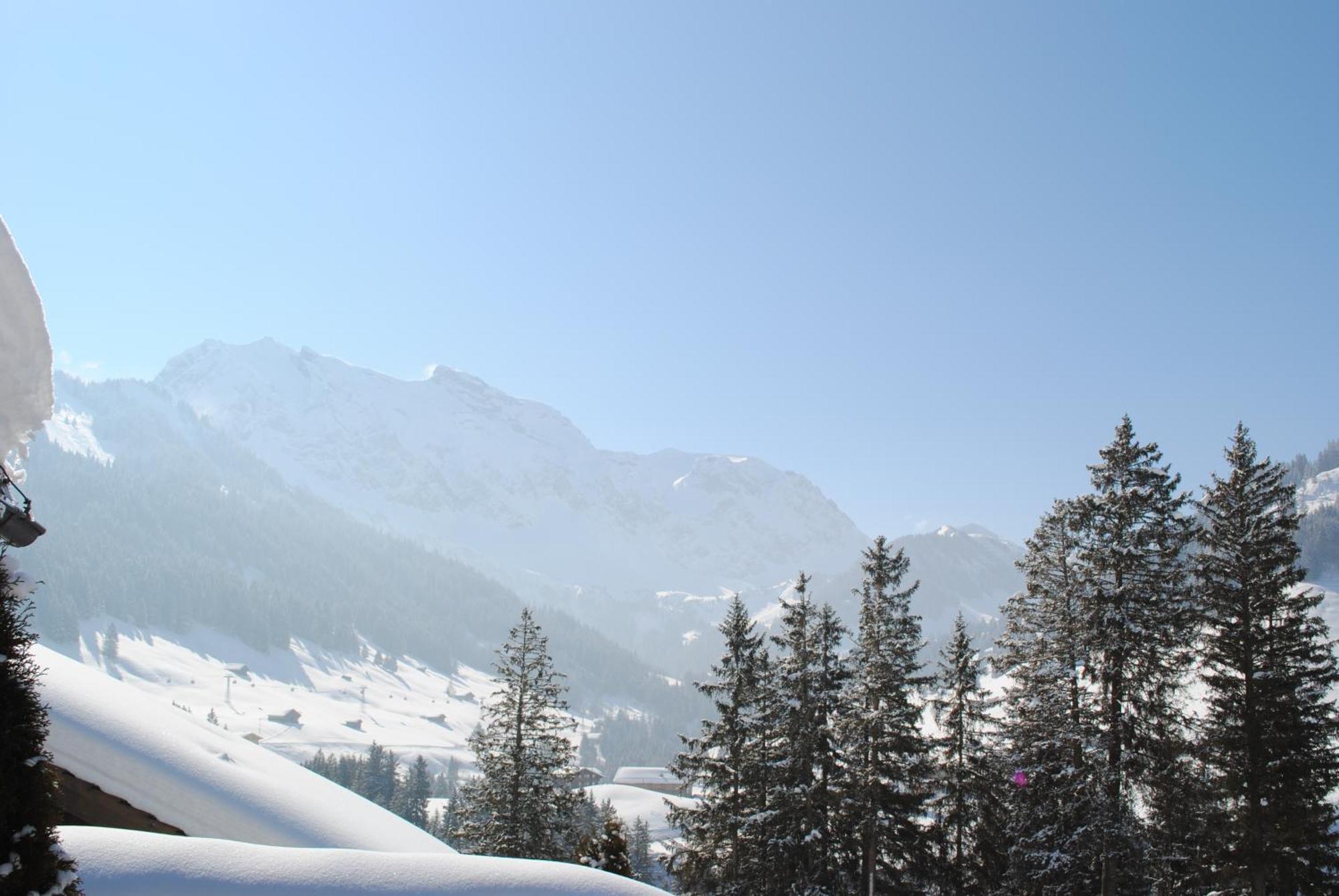Apartment Nadeschda Adelboden Zewnętrze zdjęcie