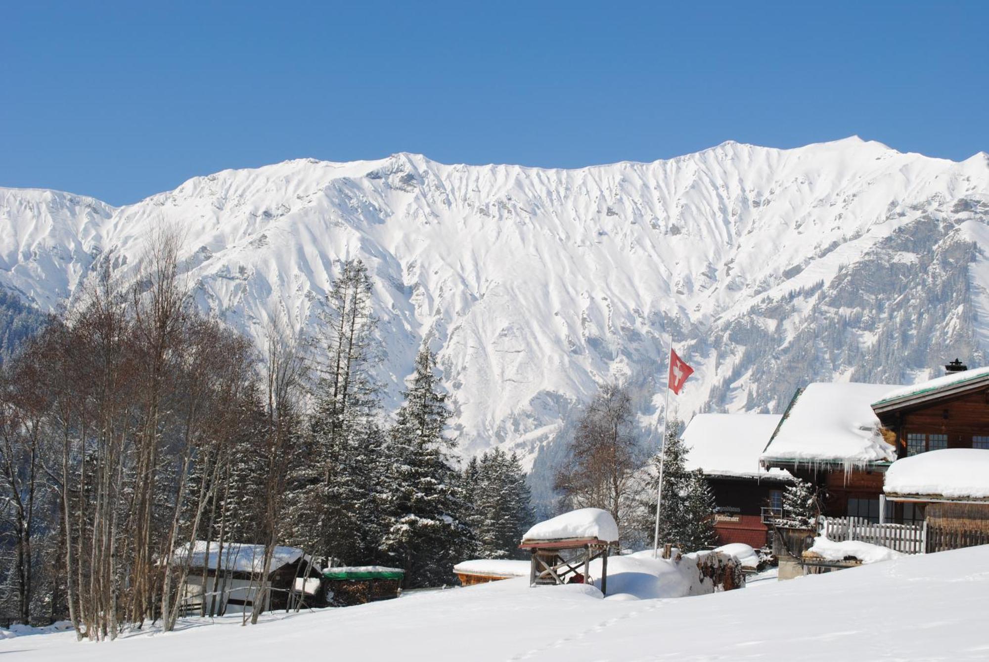 Apartment Nadeschda Adelboden Zewnętrze zdjęcie