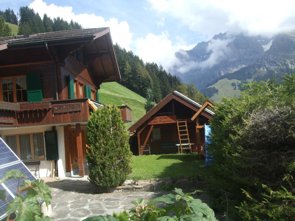 Apartment Nadeschda Adelboden Zewnętrze zdjęcie